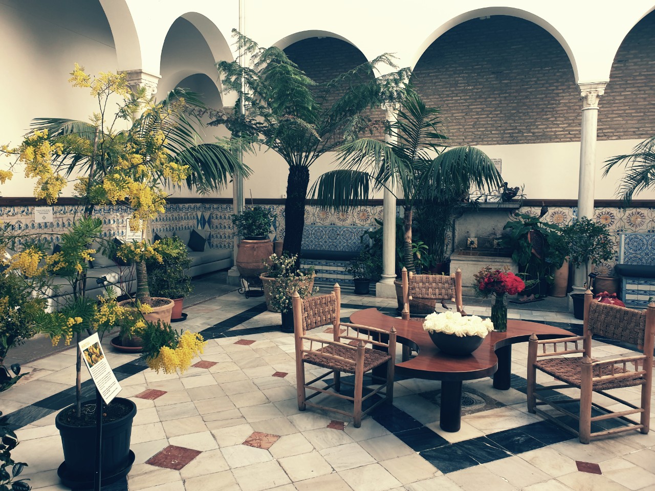 Granada Like a Local