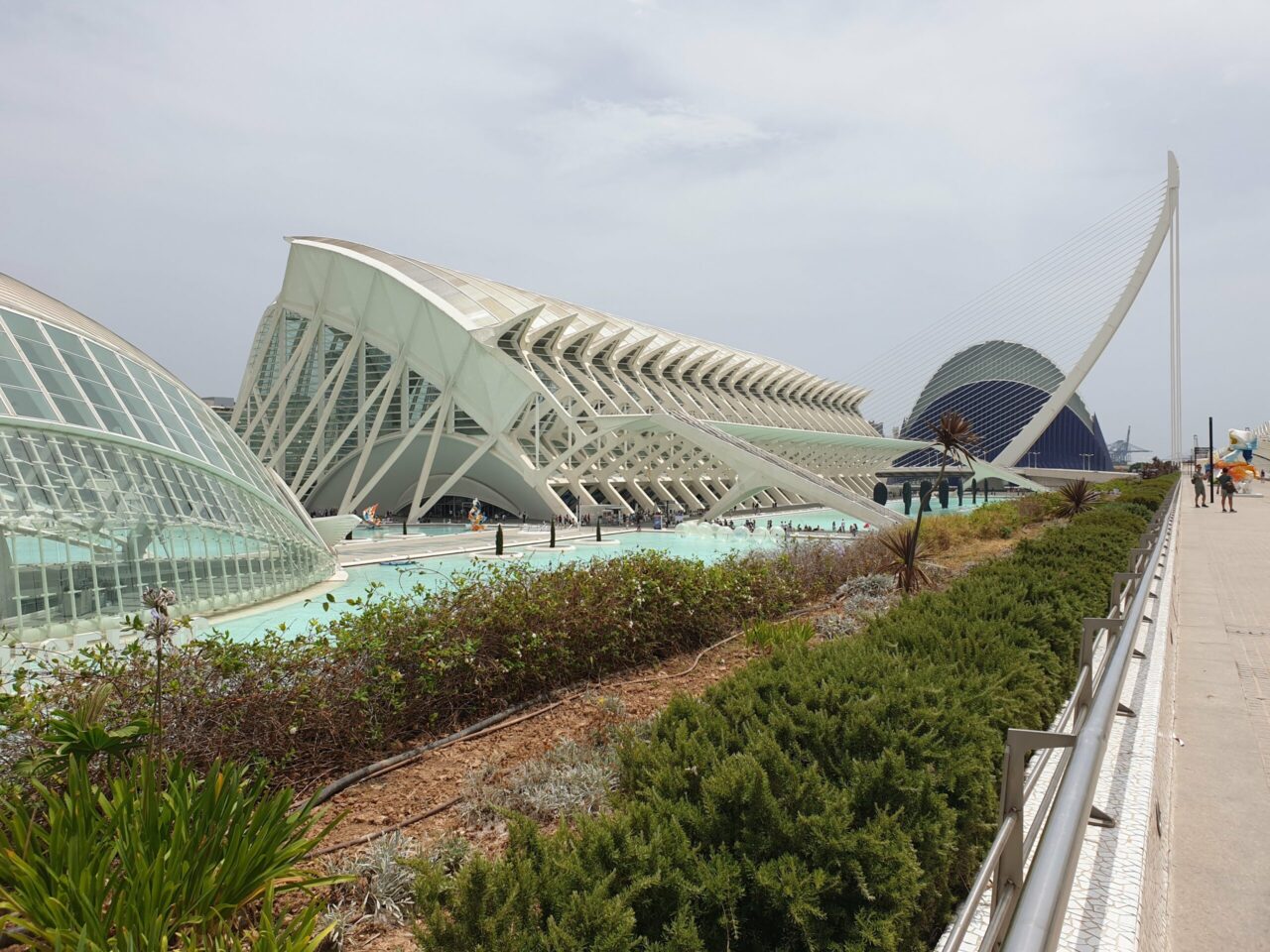 De leukste local Valencia tips