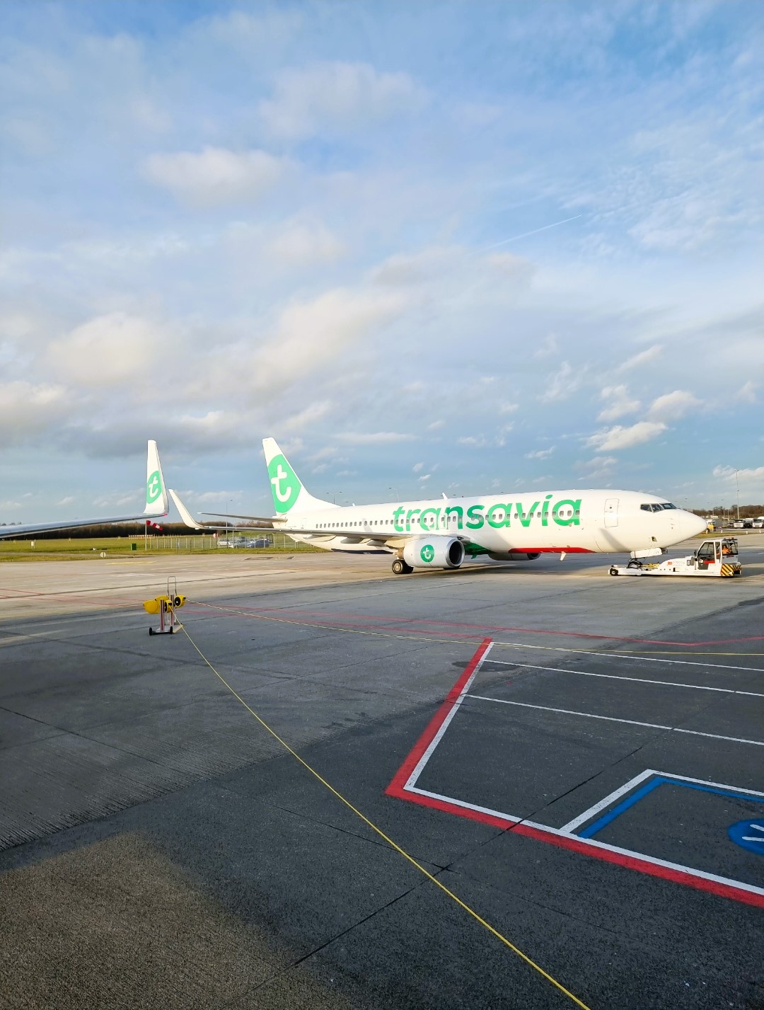 Vliegen transavia alicante