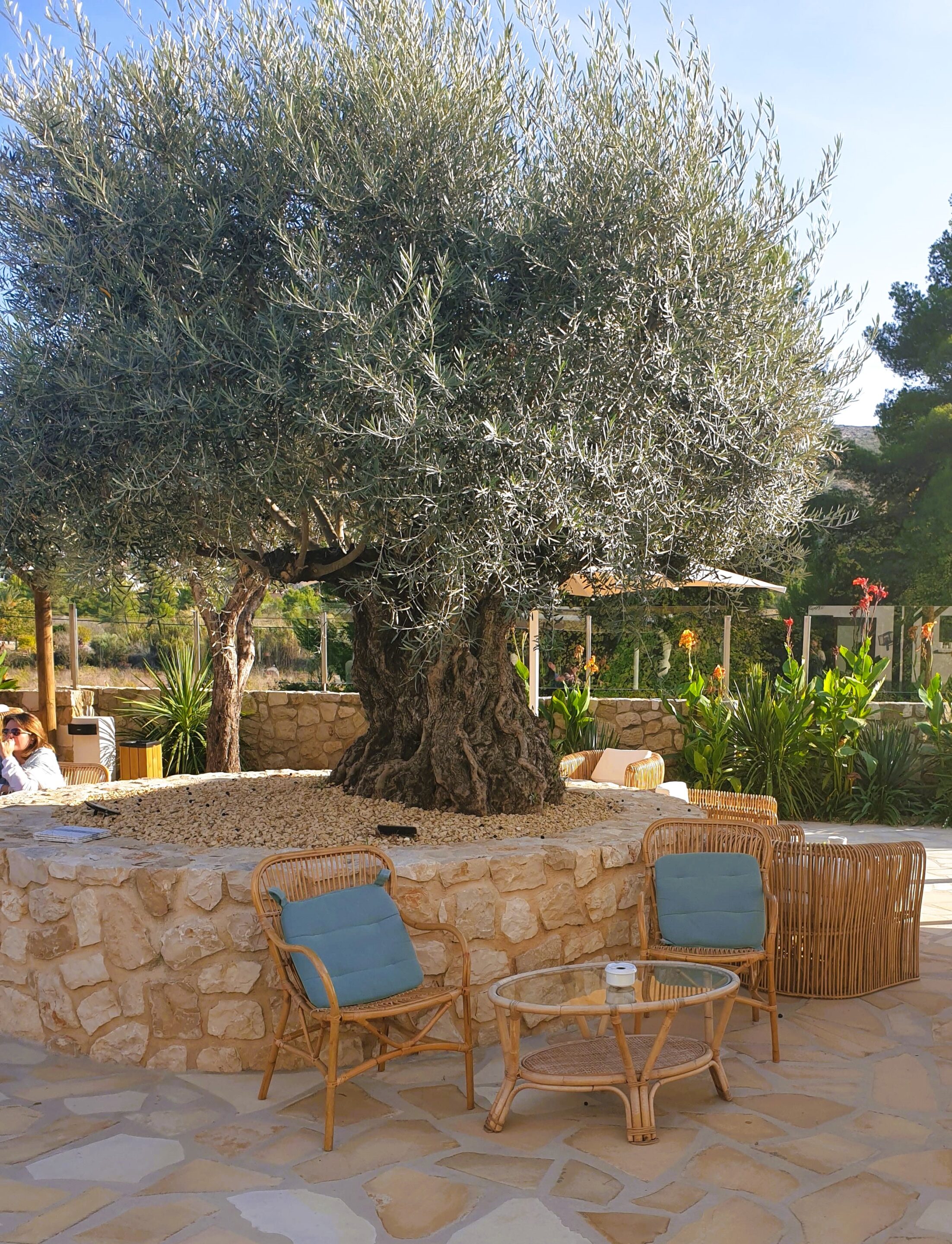 El Campo Resstaurant Javea