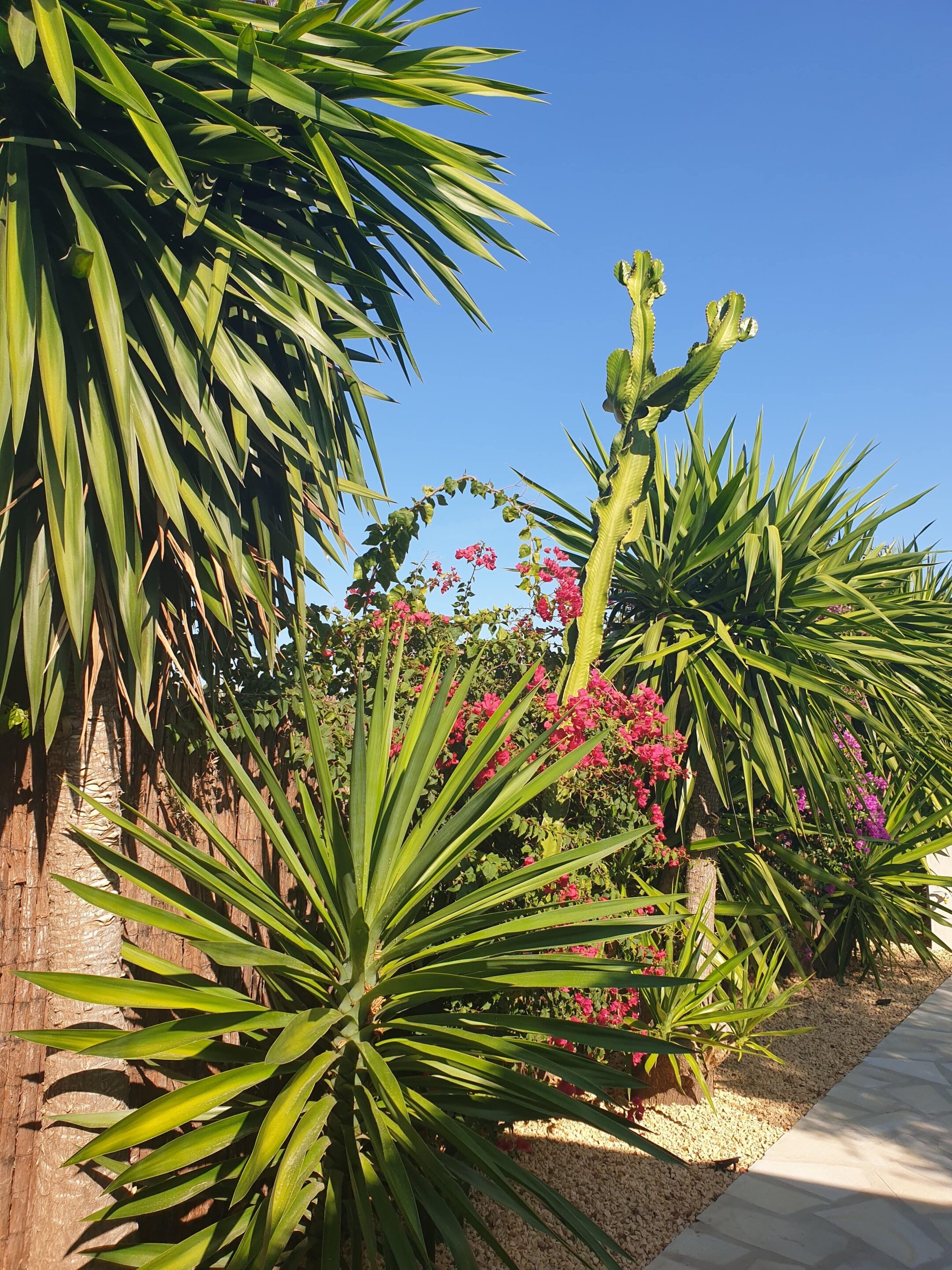 Tuin Javea restaurant