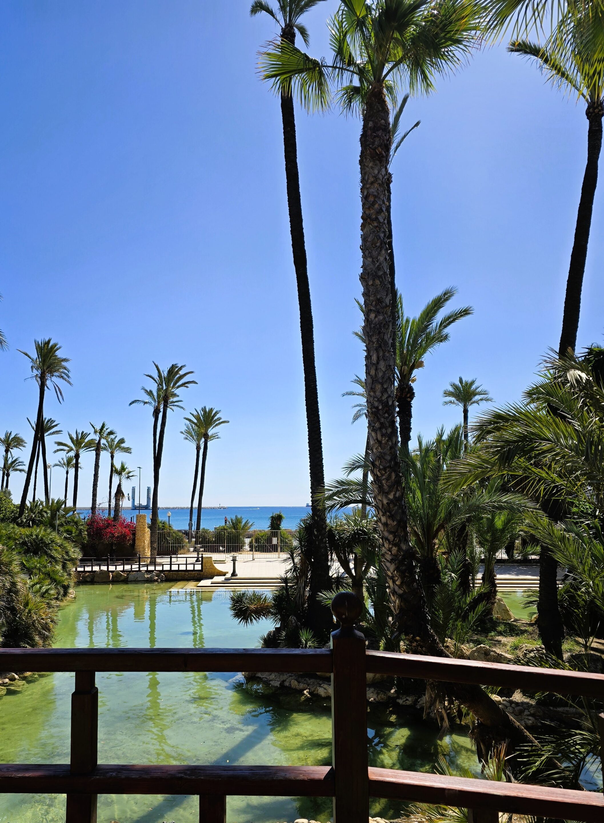 palmbomenpark alicante