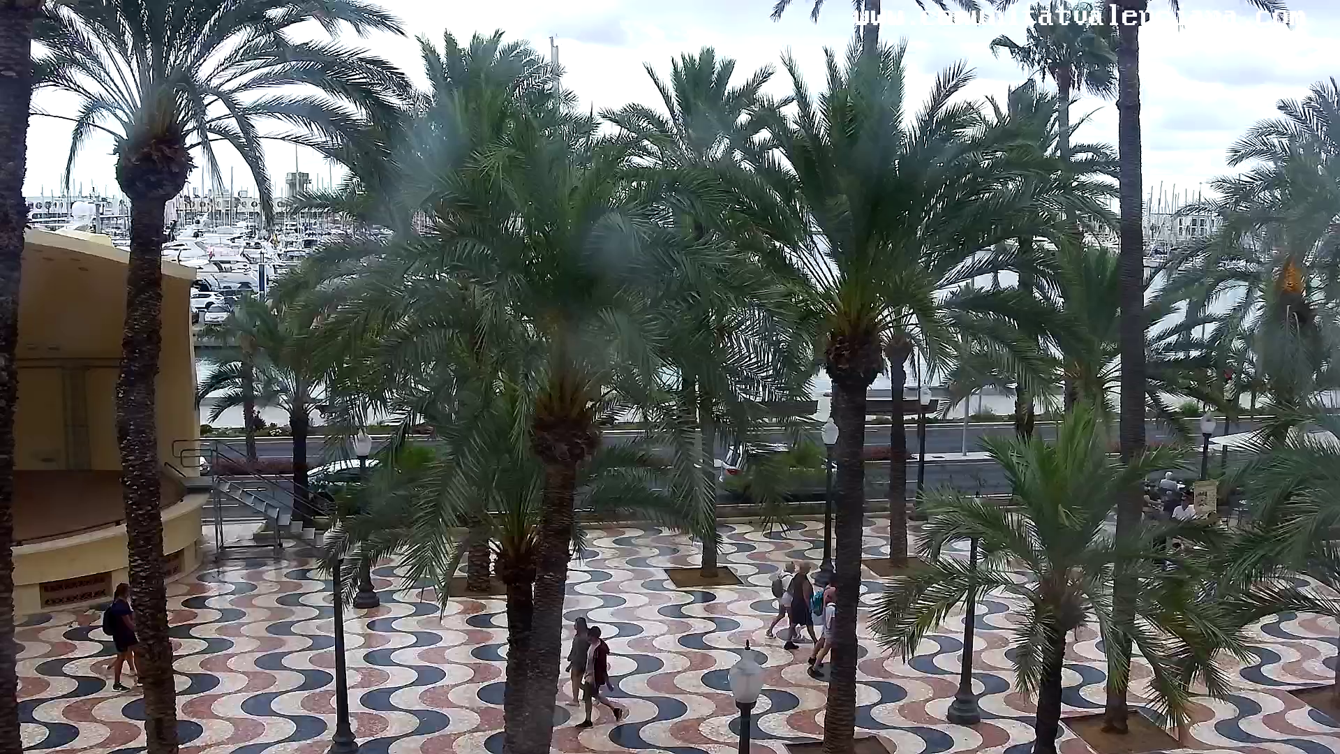 webcam (1) Webcam explanada alicante