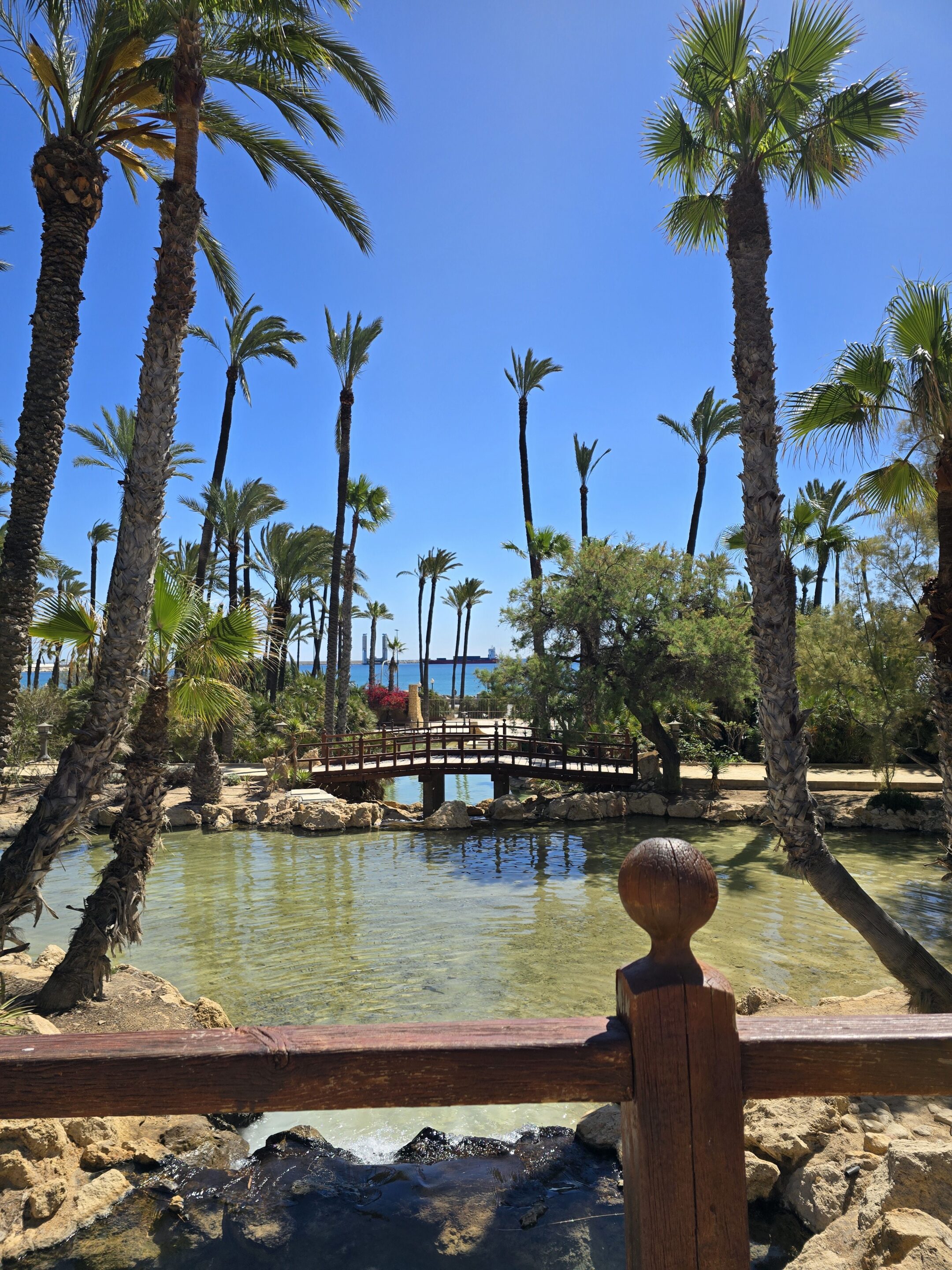 parque palmeral palmbomenpark palmbomenpark alicante