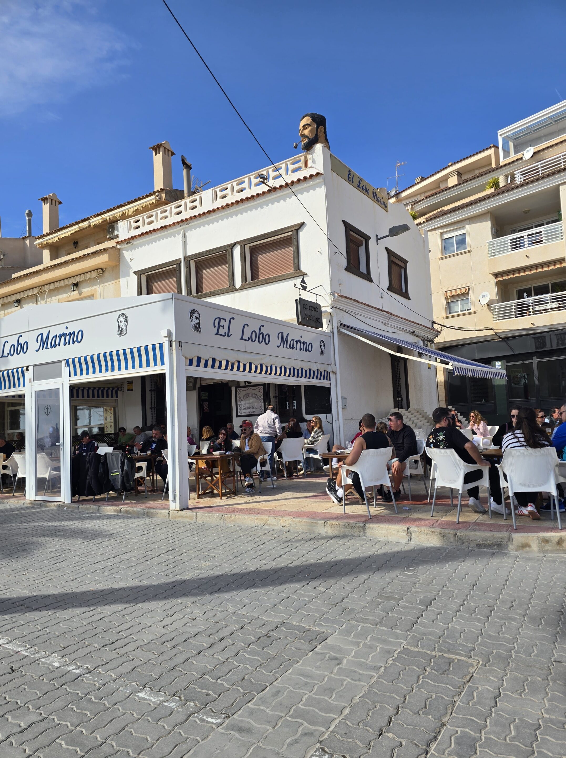 El lobo marina biertje el Campello