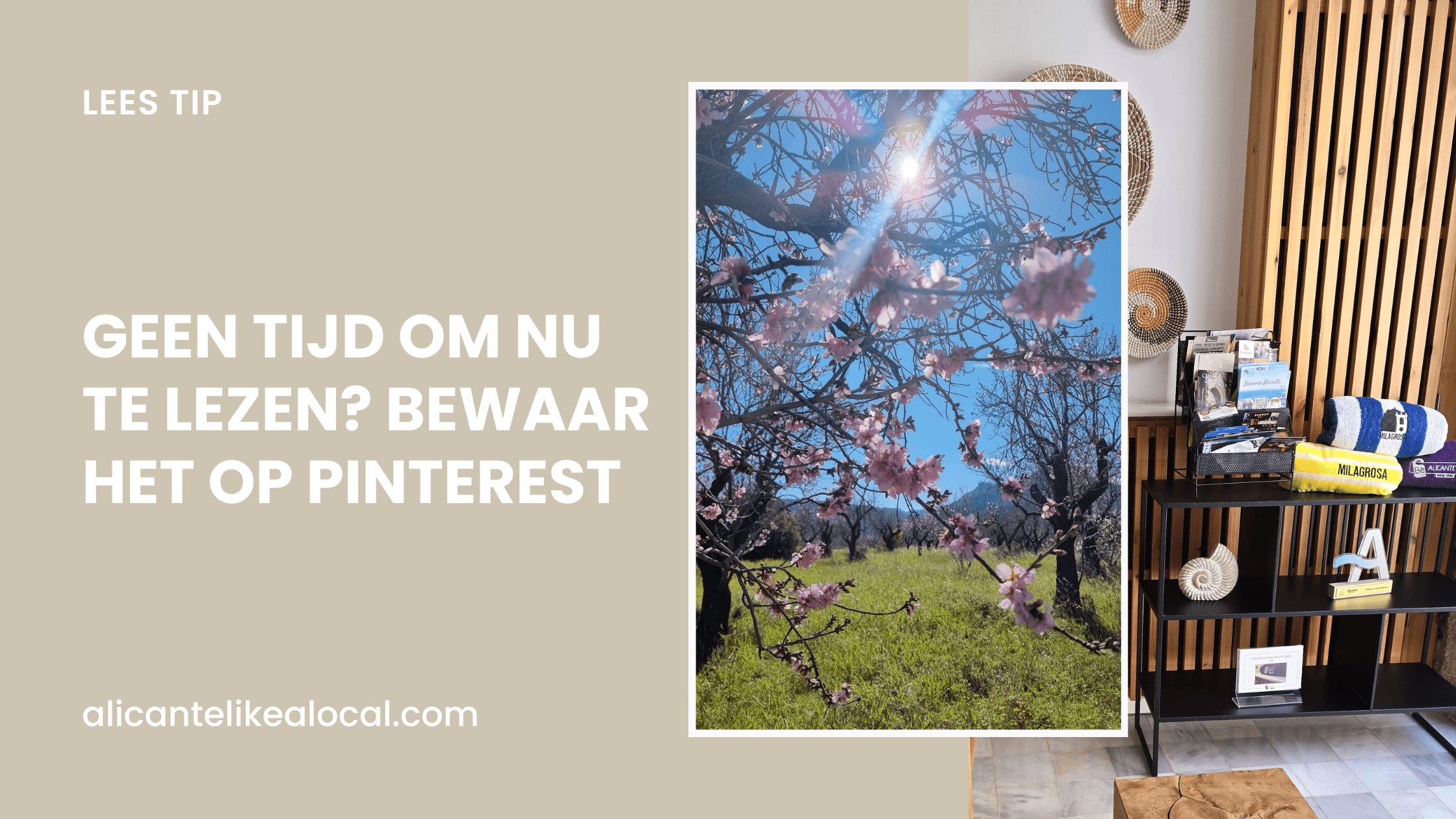 Alicante Like a Local op pinterest
