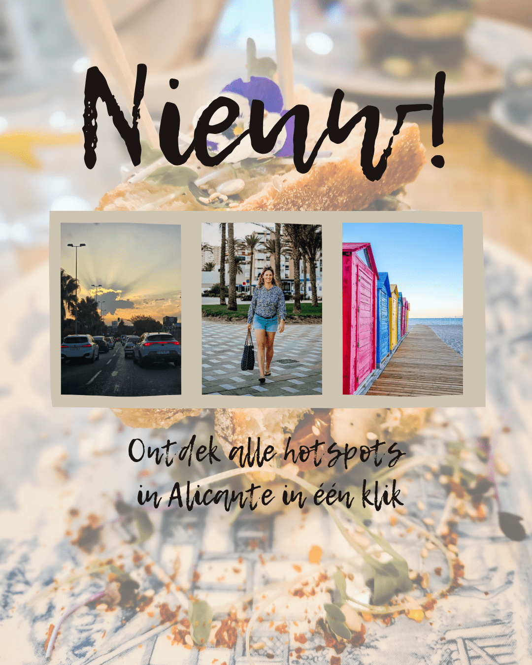 Interactieve kaart Alicante